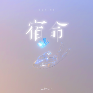 一区二区三区毛片
